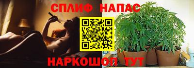 гашишное масло Камышлов