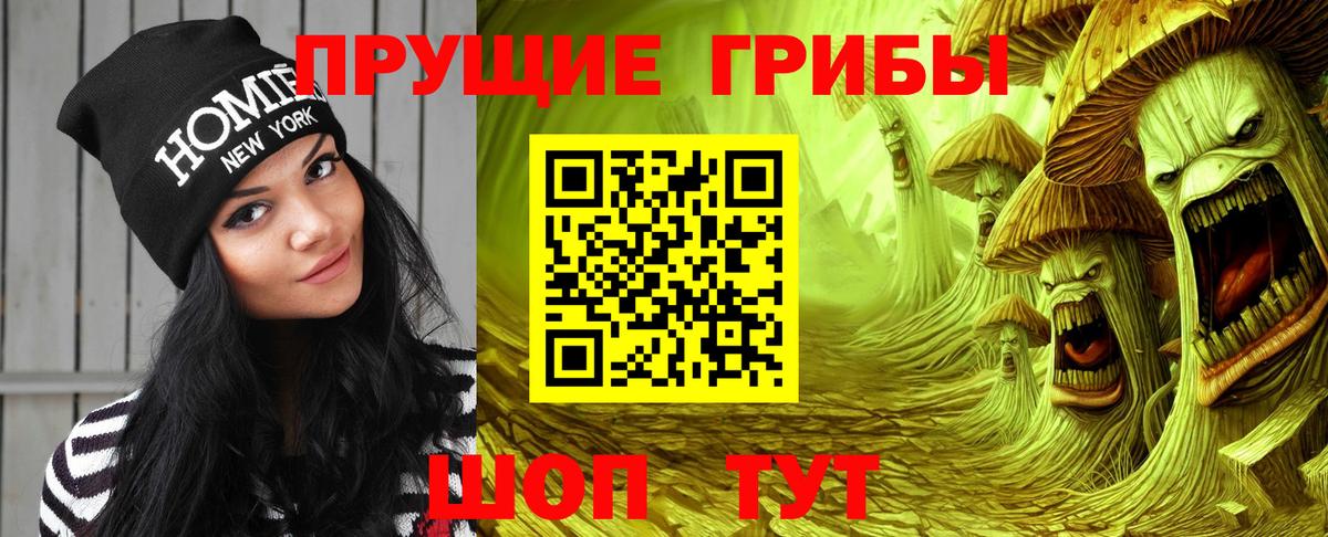 Псилоцибиновые грибы прущие грибы  Вход с VPN  Людиново 