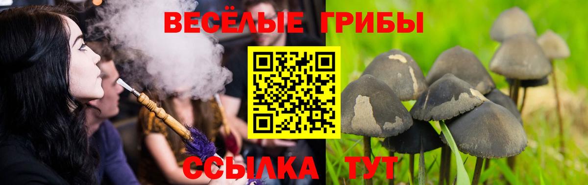 Псилоцибиновые грибы ЛСД Людиново